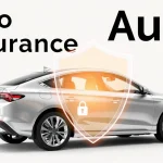 What does ppt stand for in auto insurance